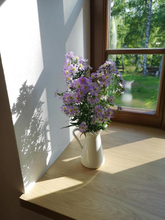 Na Jeleni Stezce Vila Chřibská Exterior foto