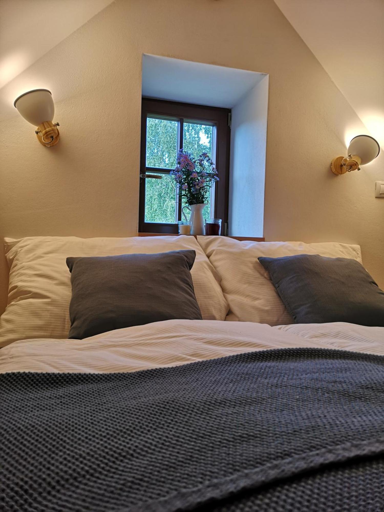 Na Jeleni Stezce Vila Chřibská Exterior foto